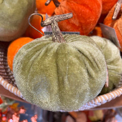 Velvet Autumn Pumpkin - 9cm Green